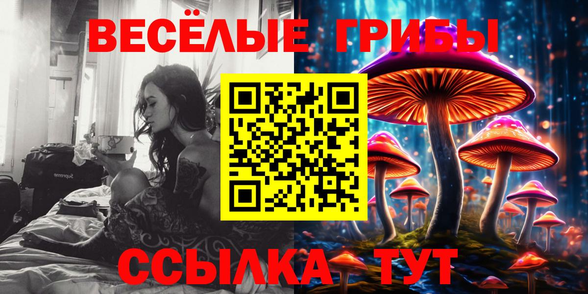 магазин  наркотиков  Вход с VPN  Азнакаево  Псилоцибиновые грибы Cubensis 